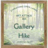 Gallery HIke