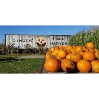 Dinges Fall Harvest