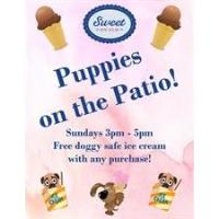 Puppies on the Patio Ice Cream Special