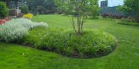 Perennial Bed