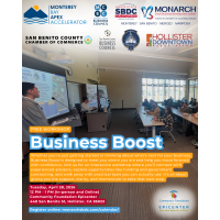 Business Boost - Hollister