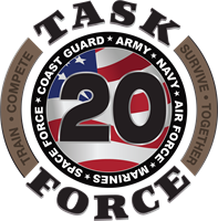 Task Force 20