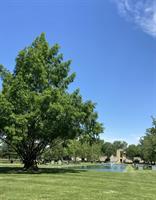 Toledo Memorial Park