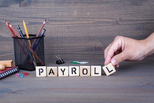 Payroll provider for small businesses