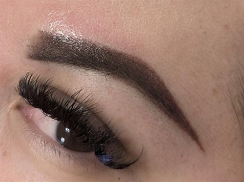 Beautifully shaped brow directly after an Ombre Powder brow Session