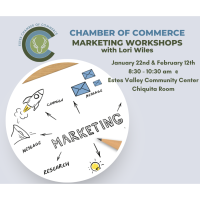 Workshop: Build Your Marketing Strategy & Execute with Confidence - two part series