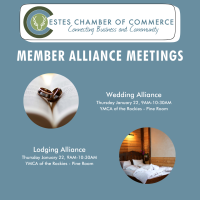 Wedding and Lodging Alliance Combined Meeting