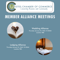 2025 Wedding Alliance