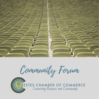 2020 Chamber Community Forum: VEP, EDC, ECC