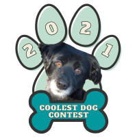 2021 Coolest Dog Pageant