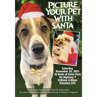 Picture Your Pet With Santa