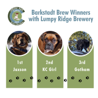 2022 Coolest Dog Contest: Barkstadt Brew Winners
