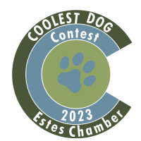 Coolest Dog Contest
