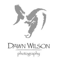 Dawn Wilson Photography