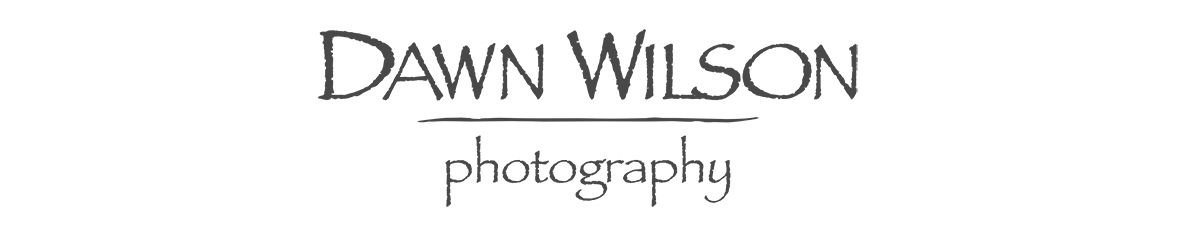 Dawn Wilson Photography