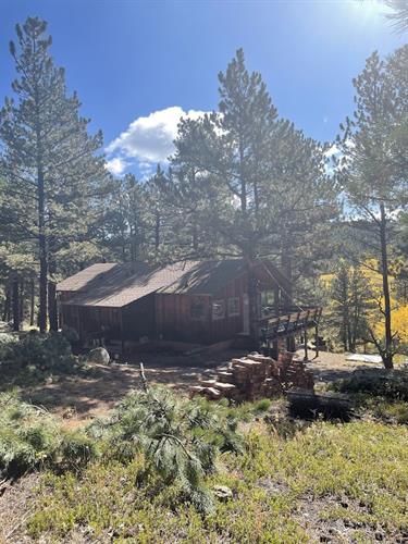 Large tree touching home.