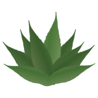 Orange County Porch Stylists