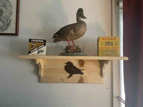 Wood Duck Shelf