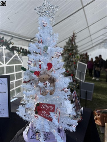 2025 Festival of Trees donation purchased by Knotty Farms.