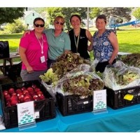 Produce Pop-Up Market - Sangerville