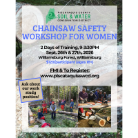 Chainsaw Safety for Women