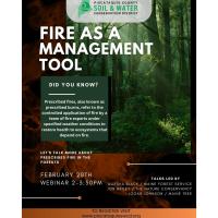 Fire as a Forest Management Tool