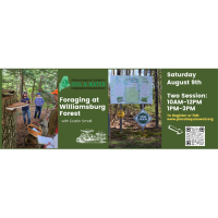 Foraging at Williamsburg Forest