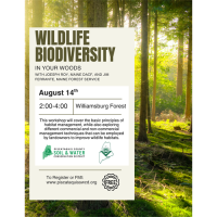 Wildlife Biodiversity in Your Woods