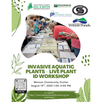 Invasive Aquatic Plants-Live Plant ID Workshop