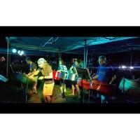 Panstorm in Concert