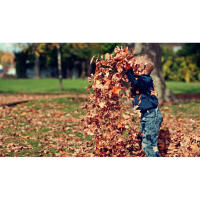 Child Care Business Lab: A Morning in the Life of a Piscataquis County Child Care Provider