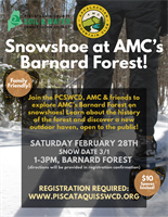 Snowshoe at AMC's Barnard Forest
