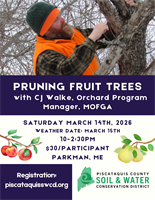 Pruning Fruit Trees with CJ Walke!
