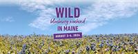 Maine Wild Blueberry Weekend