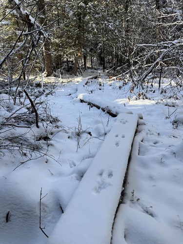 Gallery Image IMG_2487.jpeg