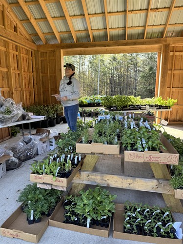 Each year, we host a Tree & Plant Sale fundraiser! Purchase trees, seedlings and perennials from us, support local farms and conservation!