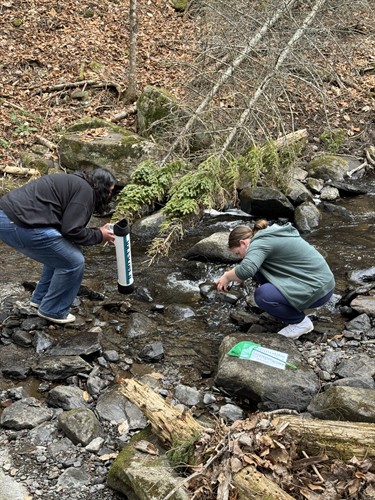 Gallery Image IMG_9105.jpeg