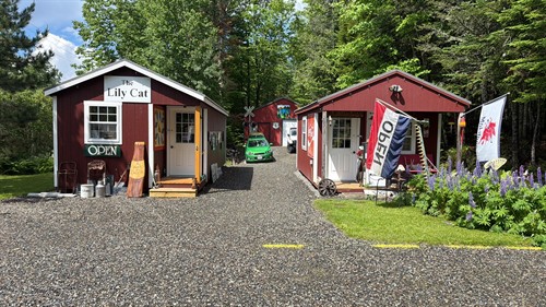 Lily Cat Antiques has two buildings full of antiques, collectibles and awesome good stuff.