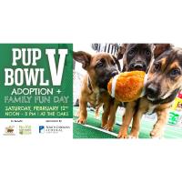 Pup Bowl V at Mount Pleasant Towne Centre