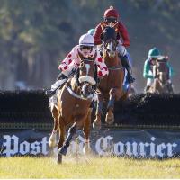 Steeplechase of Charleston November 10, 2024