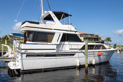 Check out Pier One Yacht Sales, a Chamber member, for a great deal! We photograph dozens of boats for Pier One!