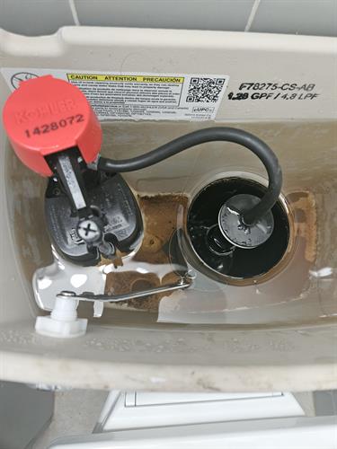 Toilet tank mechanism leaking Toilet tank mechanism leaking