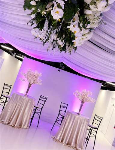 Gallery Image 832DB356-FC8C-4A71-AD40-09652FAE3C05.png