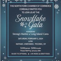 Snowflake Gala 2024