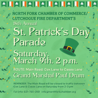 18th Annual St. Patricks Day Parade