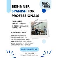 Beginner Spanish for Professionals