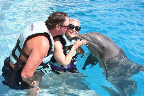 Dolphin kisses