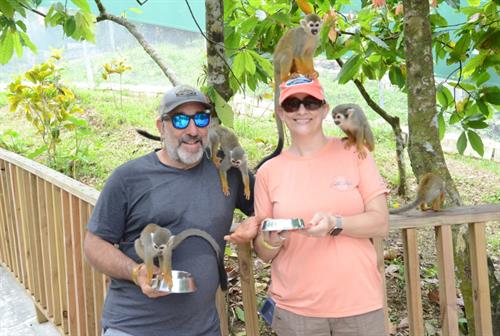 Just monkeyin' around 