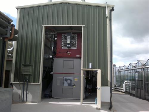 Biomass Boiler Wexford Tomatoes