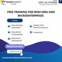 Neurodiversity at Work - free training for Irish SMEs